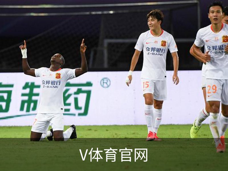 V体育官网介绍